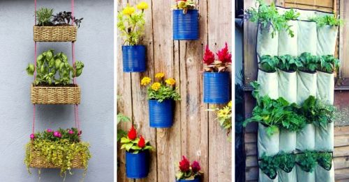 Here's How to Save Time and Space by Vertical Gardening at Home!