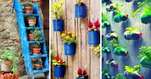 Home Gardens That Require Very Little Space & Time - All You Need to Know About Vertical Gardening!