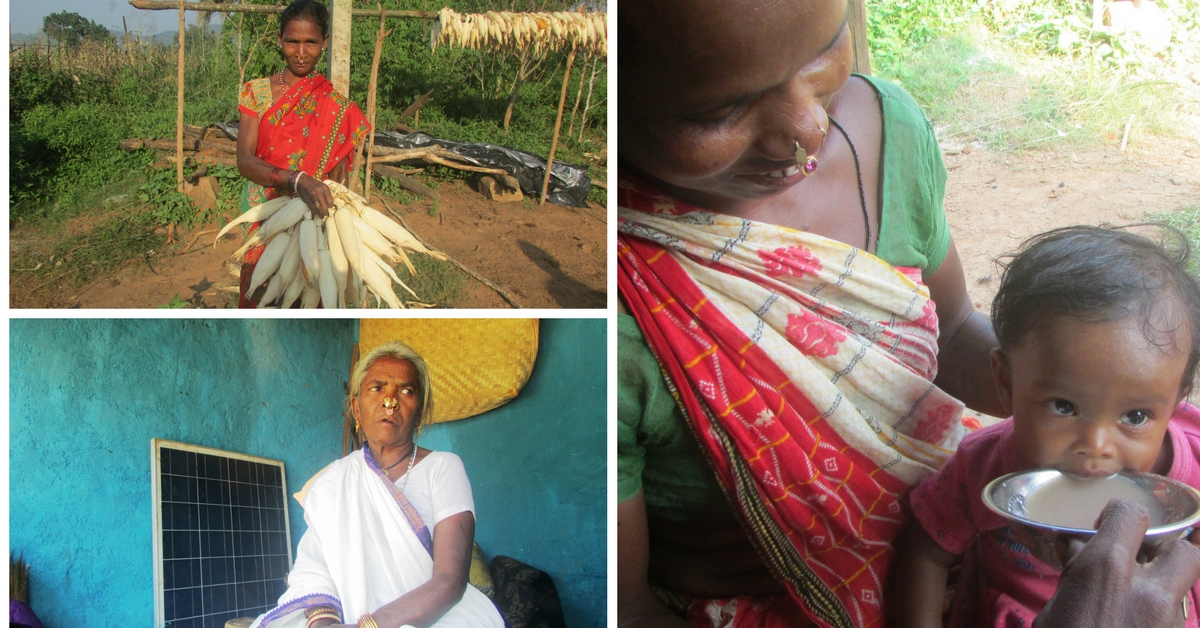 Why Odisha’s Tribal Women Are Returning to Their Natural Roots for Guidance on Food
