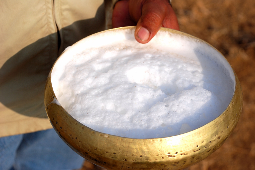 camel-milk