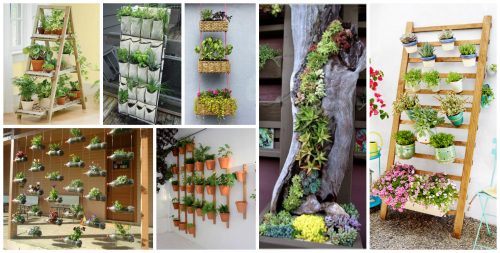 Here's How to Save Time and Space by Vertical Gardening at Home!