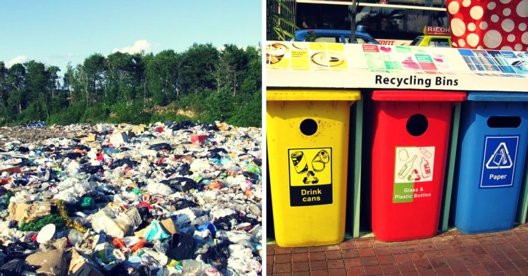 case study on waste management in kolkata