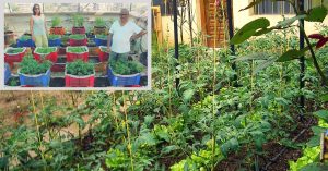 These Mumbai Residents Recycle Waste & Use It to Grow Vegetables & Fruits on Their Terrace!
