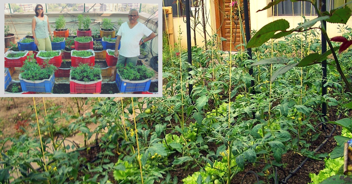 These Mumbai Residents Recycle Waste & Use It to Grow Vegetables & Fruits on Their Terrace!