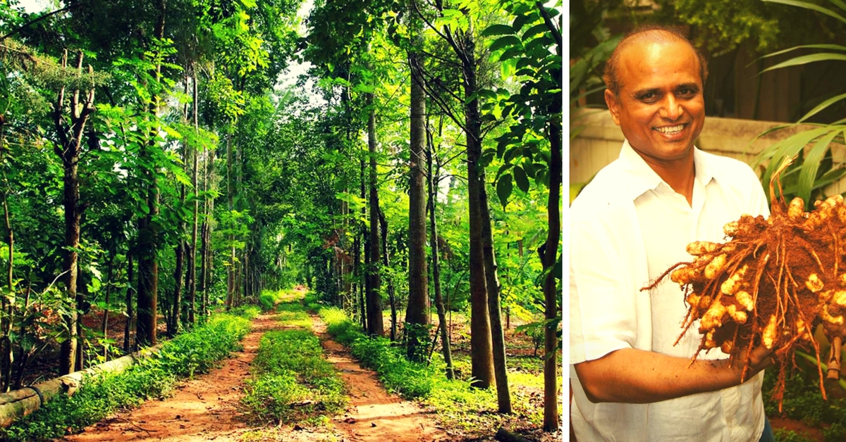 Meet the Bangalore Lawyer Who Quit His Job to Become an Organic Farmer, but Didn’t Stop at That!