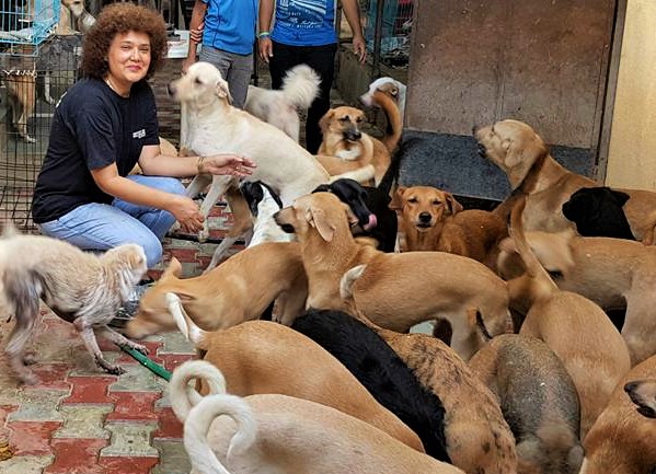 This Pune Woman Provides a Home to More Than 300 Rescued Animals