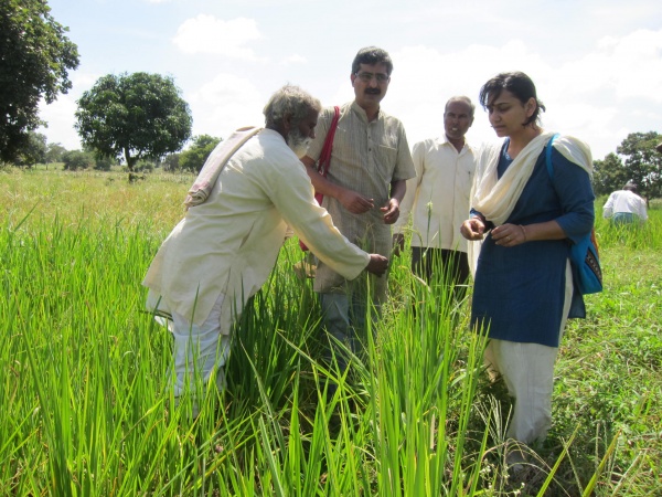 4-one-of-the-sahaja-associated-farmer-showing-his-rice-conservation-work