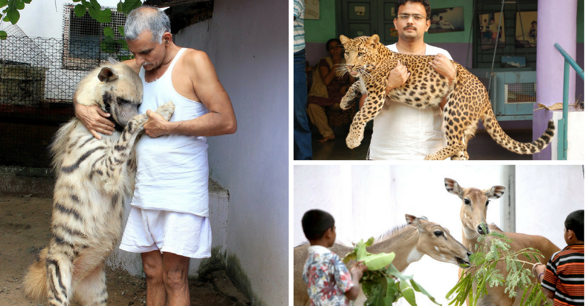 This Family Opened Their Home for Orphaned and Injured Wild Animals