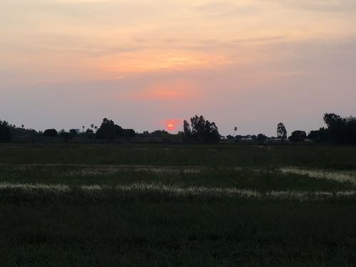 The sun rises to greet us on our snake walk.