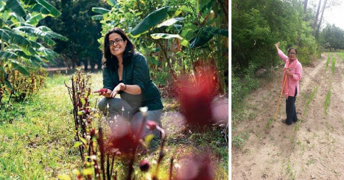 TBI Blogs: How Her Travels and Experiences Inspired Backpacker Madhu Reddy to Become an Organic Farmer