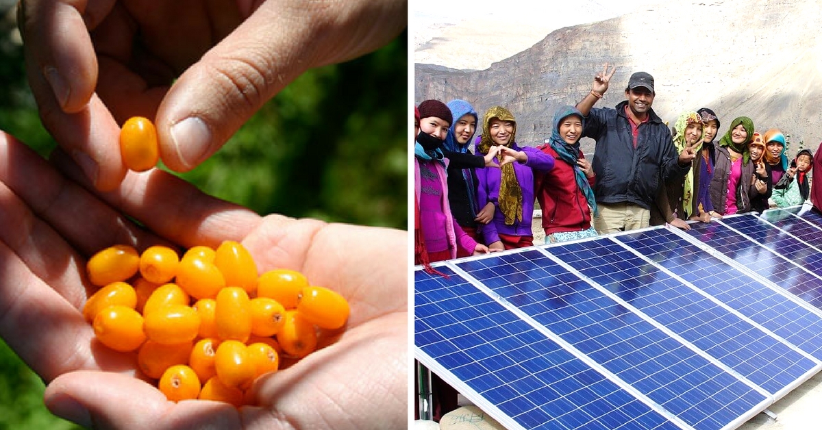 How a ‘Wonder Berry’ Is Bringing an Economic Transformation in the Cold Deserts of Lahaul-Spiti