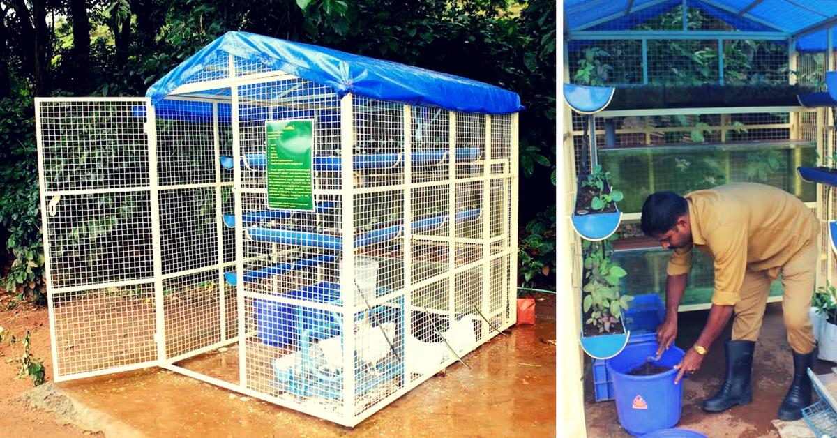 This Space-Savvy Integrated Farming Unit Lets You Grow Fish, Poultry & Vegetables Organically