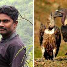 This Conservationist Is Saving Vultures in India From Extinction