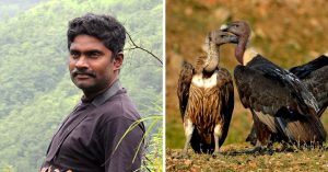 Protecting Nature's Clean-Up Crew: This Man Is Saving Vultures in India From Extinction