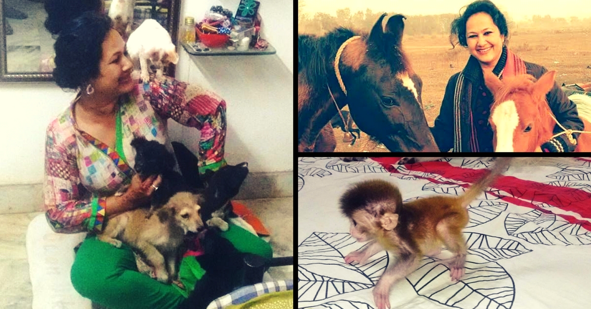 From Cats to Monkeys – This Bareilly Resident Has 46 Animals Living in Her Two-Bedroom Flat
