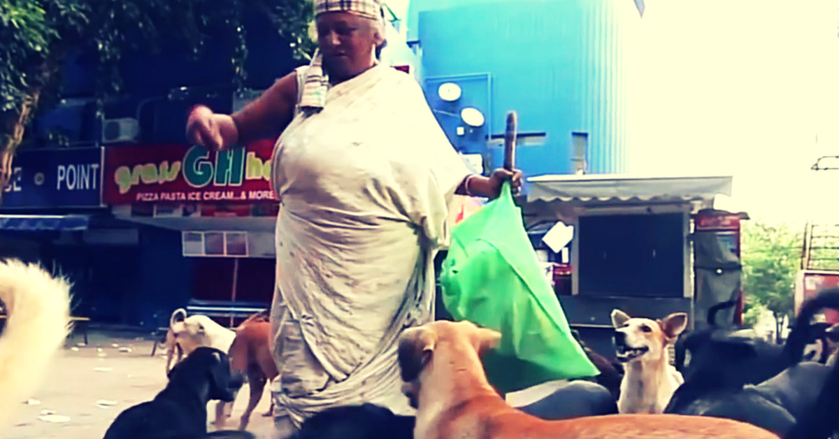 VIDEO: Ragpicker by Profession, Mother to 400 Strays by Passion