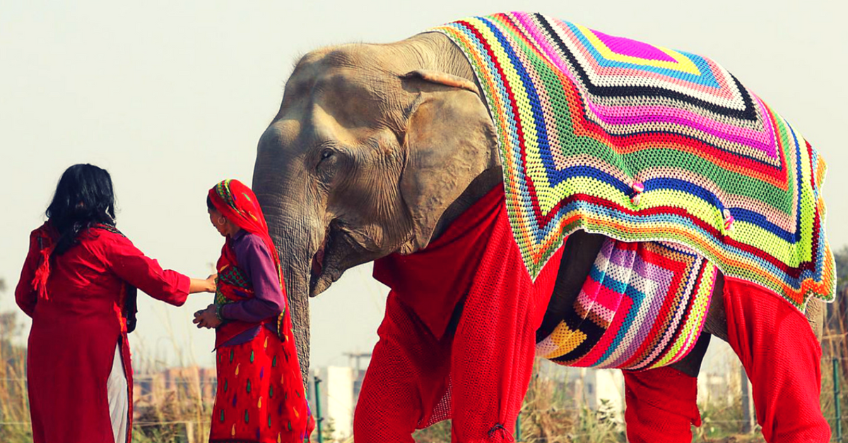 VIDEO: Women with Big Hearts Knit Elephant-Sized Sweaters