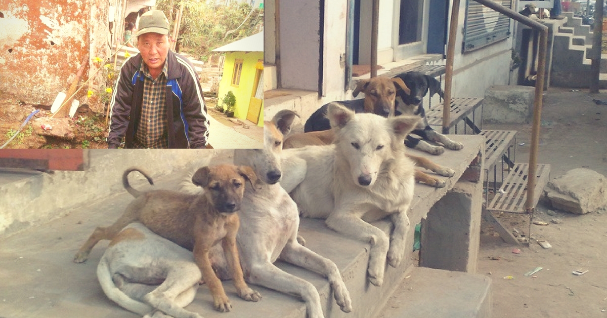 This Retired CISF Officer Threw a New Year’s Eve Party for Stray Dogs, Treated Them to Biryani