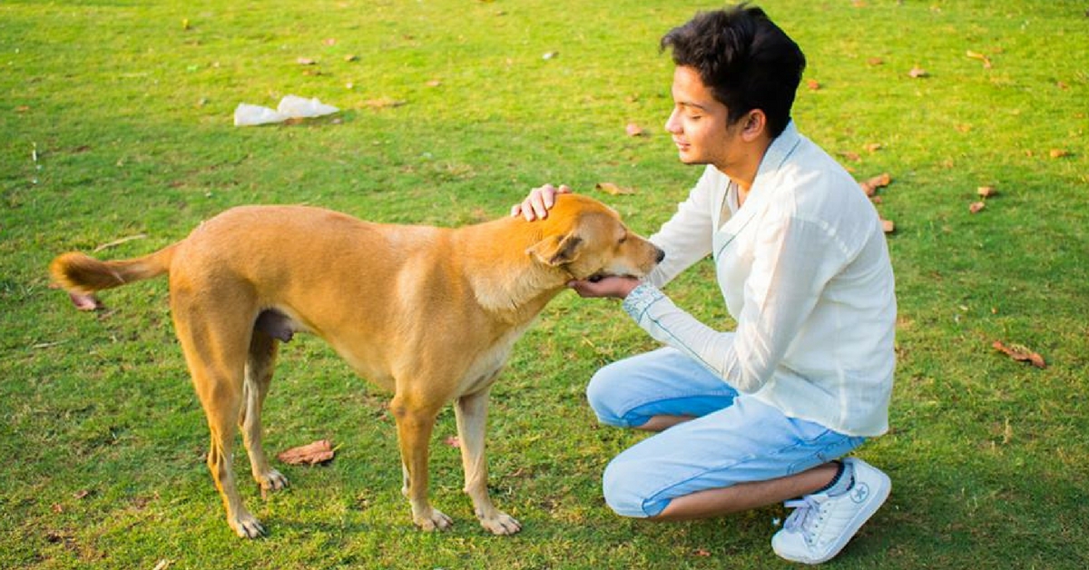 This 19-Year-Old Has Saved and Re-Homed 500+ Abandoned Animals. And He’s Just Getting Started