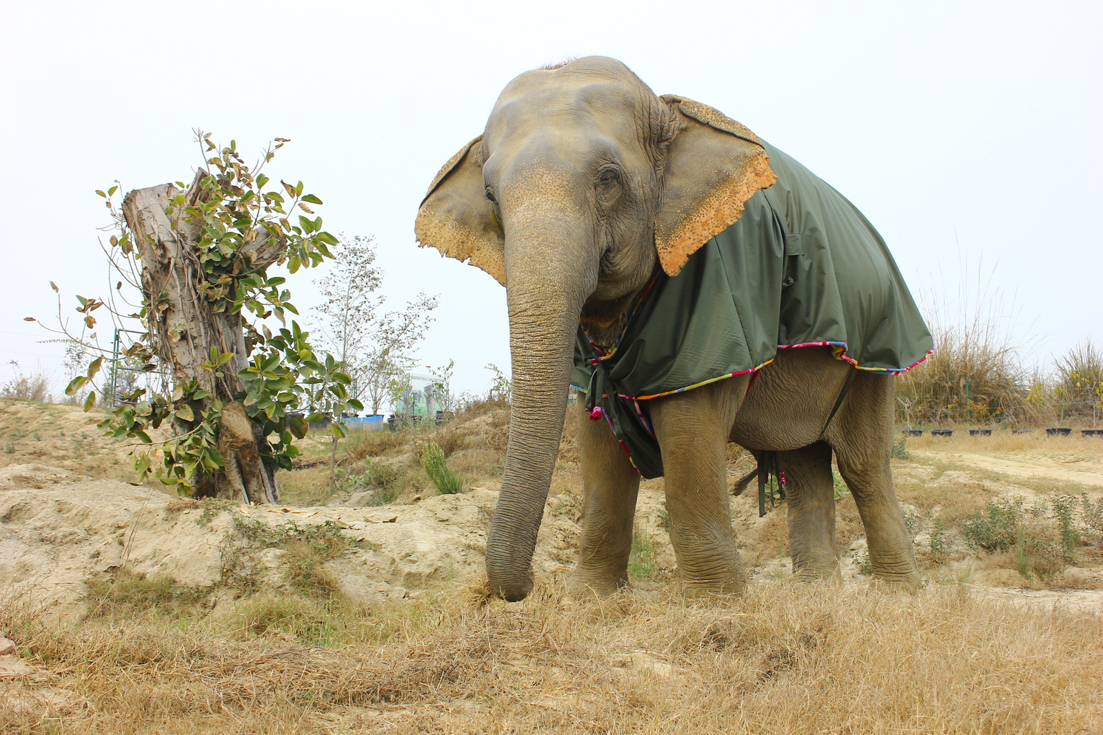 Asha wearing her fleece jumbo jacket