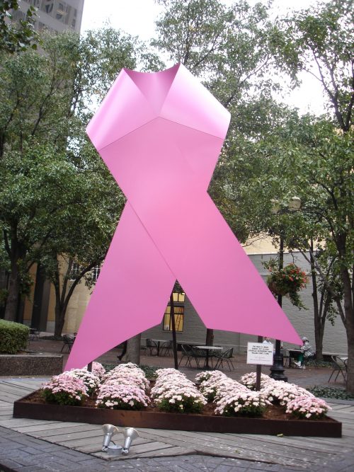 Source: By Jason Meredith from Louisville, KY, US (Breast Cancer Awareness) [CC BY 2.0], via Wikimedia Commons