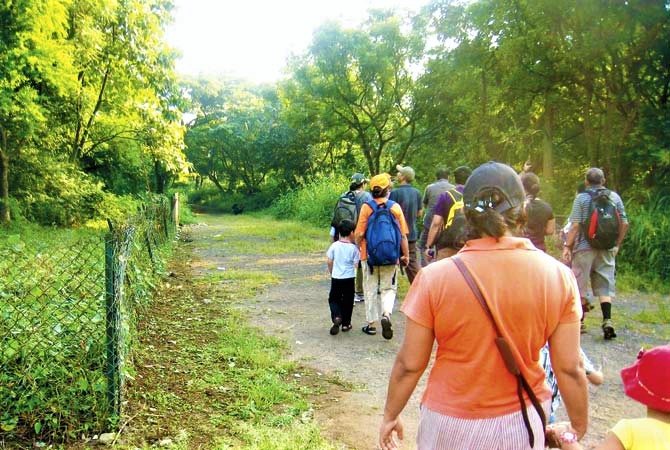 From Dump Yard to Mumbai’s Green Lungs: The Amazing Journey of Mahim Nature Park