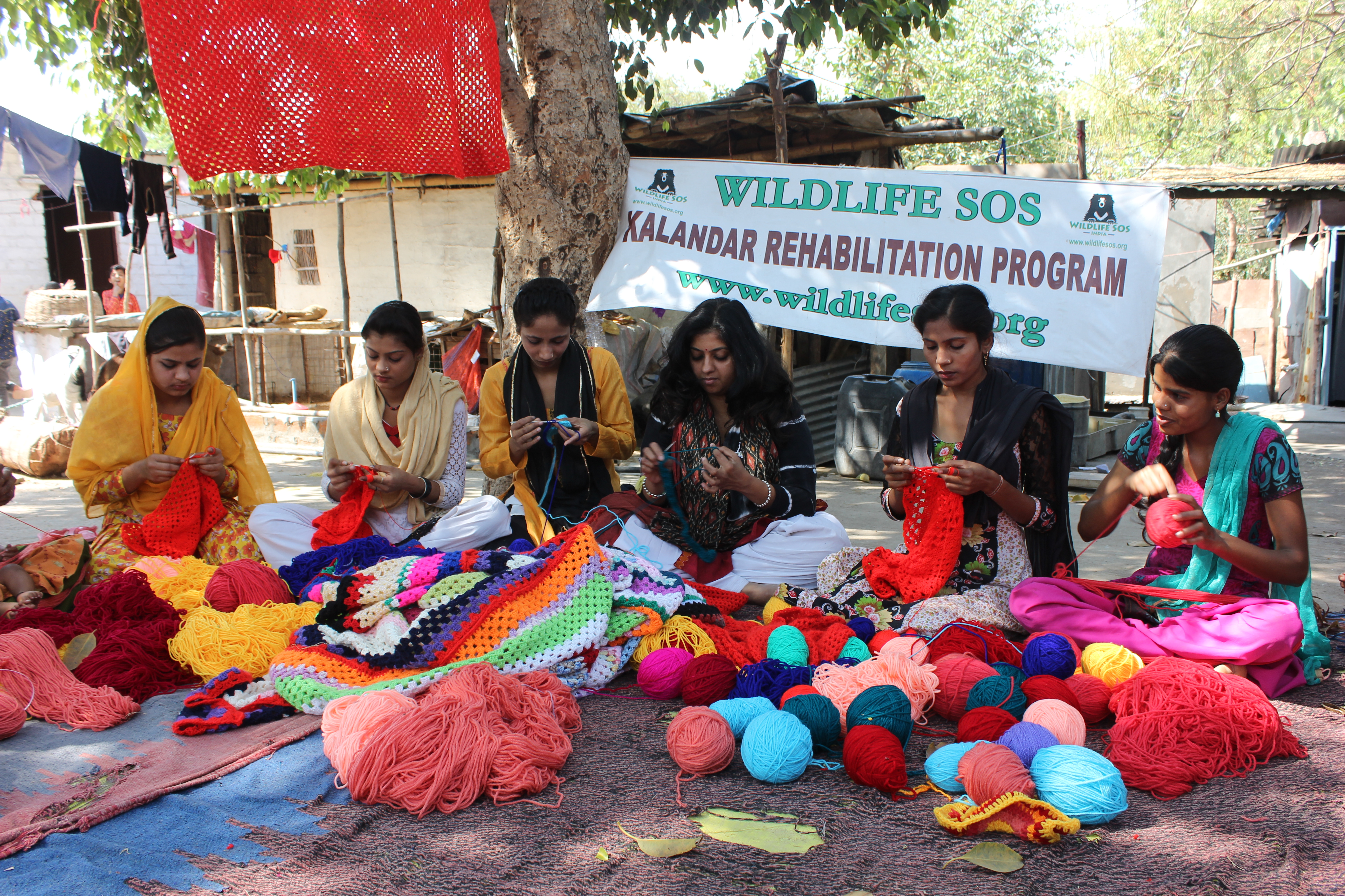 Women of the Kalandar community knitting the jumpers for the elephants