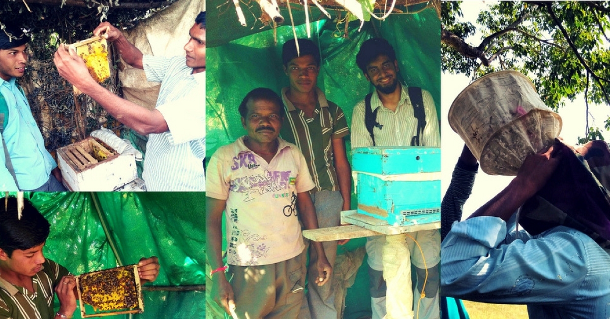 TBI Blogs: Meet 20-Year-Old Sanju Yaduvanshi – Class 8 Dropout, Professional Beekeeper, Inspiration