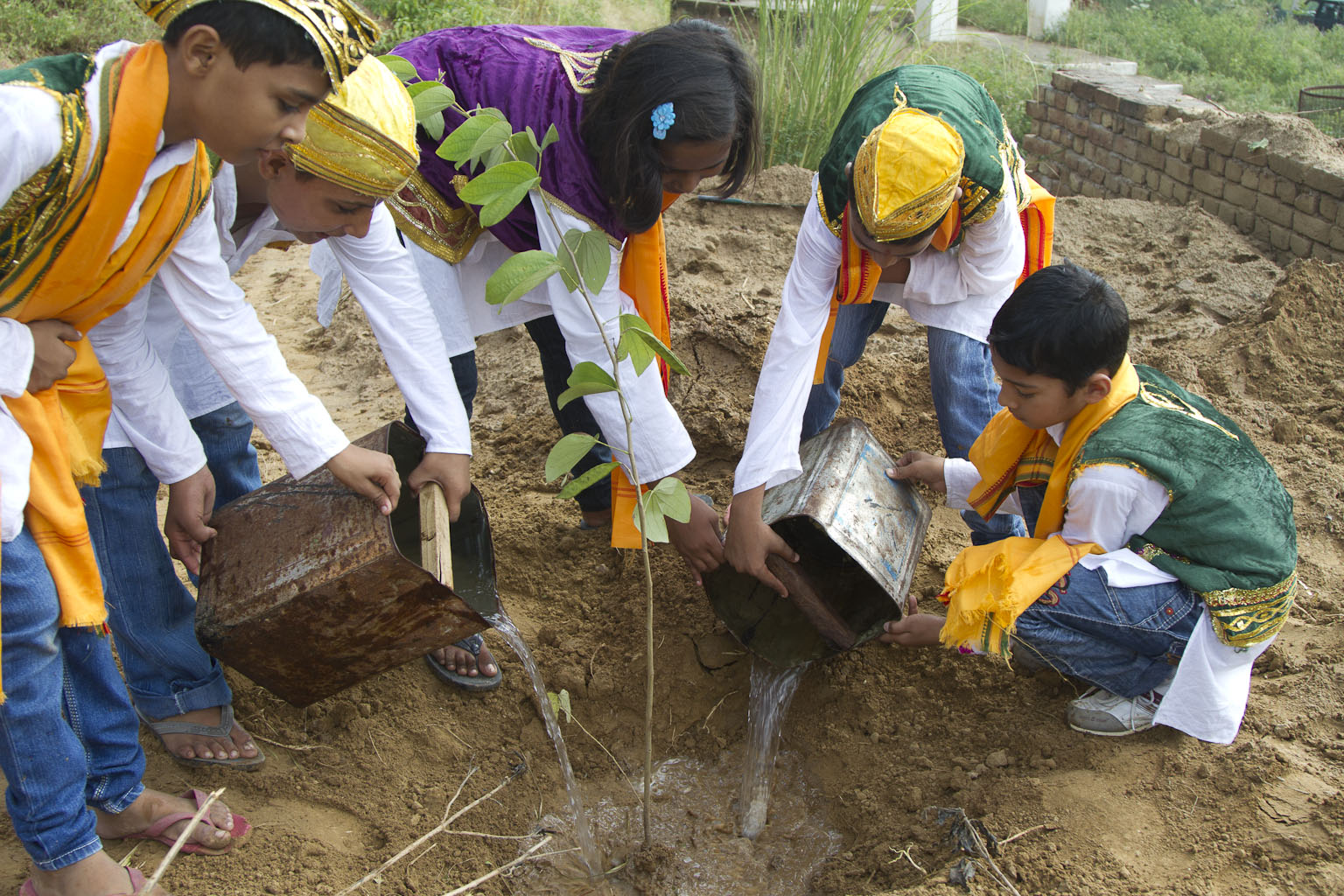 Planting as part of non formal education.