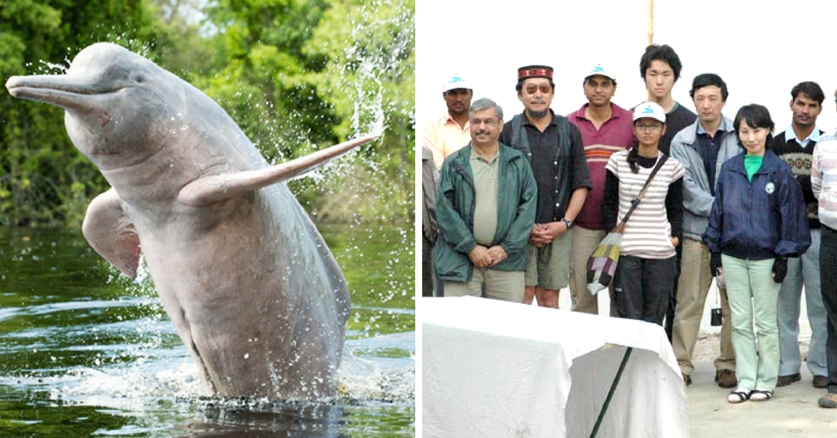 How a Japanese and Indian Team of Engineers Came Together to Trace the Missing Dolphins of Ganga
