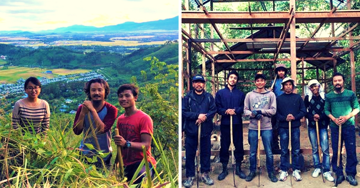 A Group of Youngsters in Manipur Worked 10 years to Transform Barren Land Into a Lush Forest