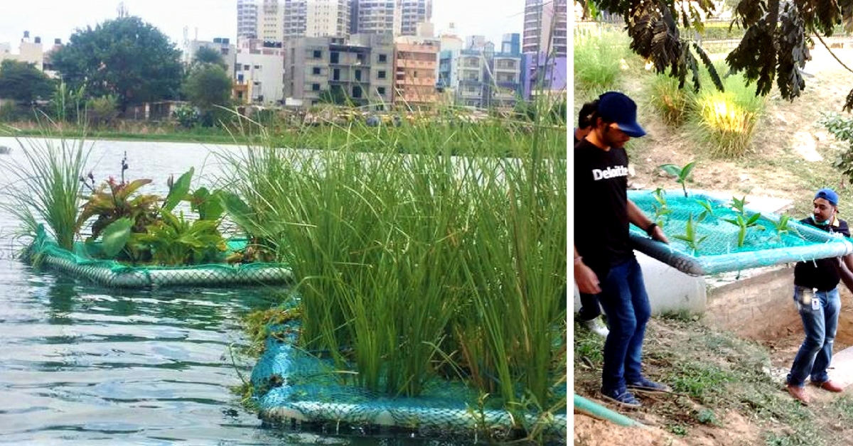 Bellandur Lake Fire: 5 Ways India Can Revive Its Polluted Urban Water Bodies