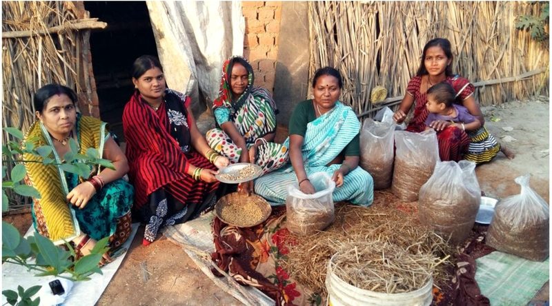 Women from SHGs learning mushroom cultivation