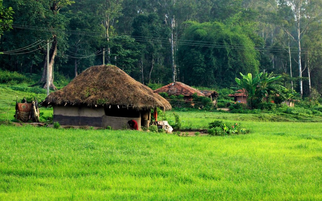 village life punjab