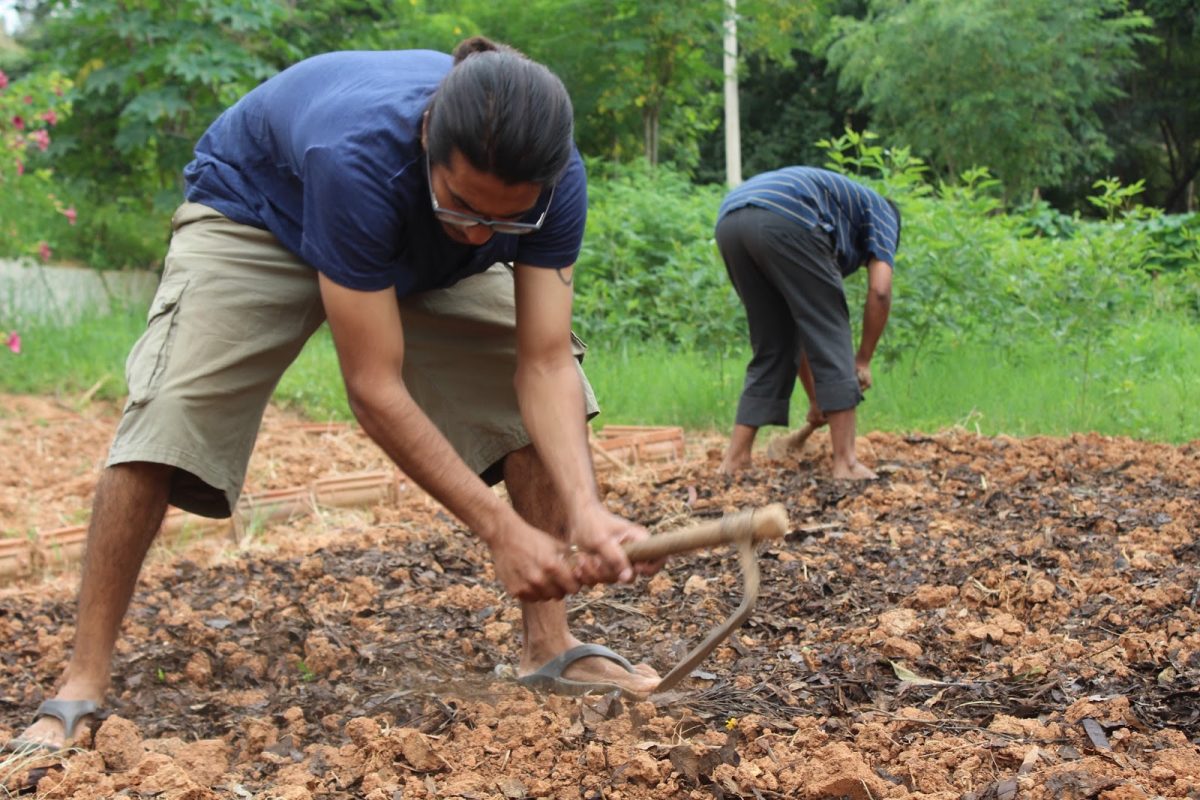 TBI Blogs: Want to Know More About Sustainable Living? This Bangalore Institute Can Help