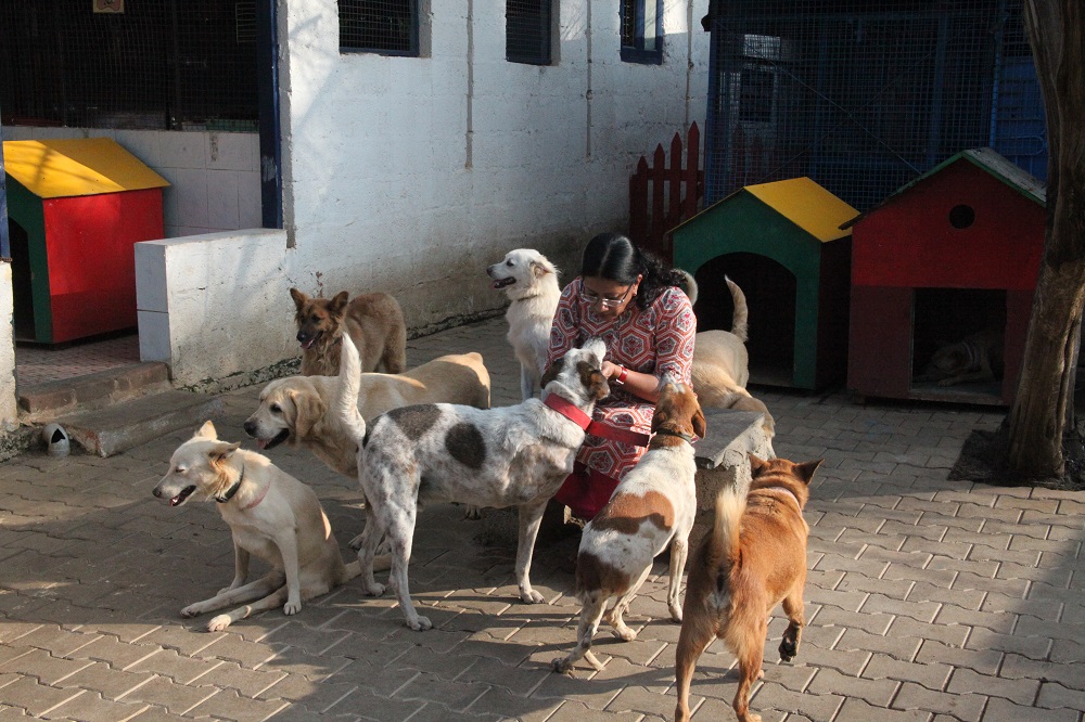 How an Animal Shelter is Helping Bengalureans Open Their Hearts to Animals