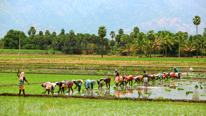 10 Ways in Which Farmers Will Benefit From the Union Budget 2017