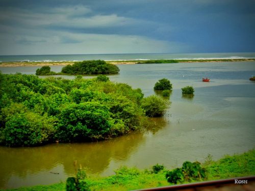 kerala river 1