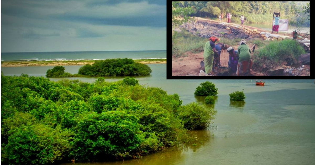 No Water Wars Here: How 2 Villages on Kerala-Karnataka Border Share Water Every Year