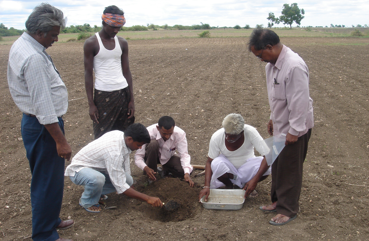 soil-management-copy