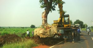 Why Cut Down Trees When They Can Be Translocated? Meet the Man Who Has Moved 5000 Trees This Way!