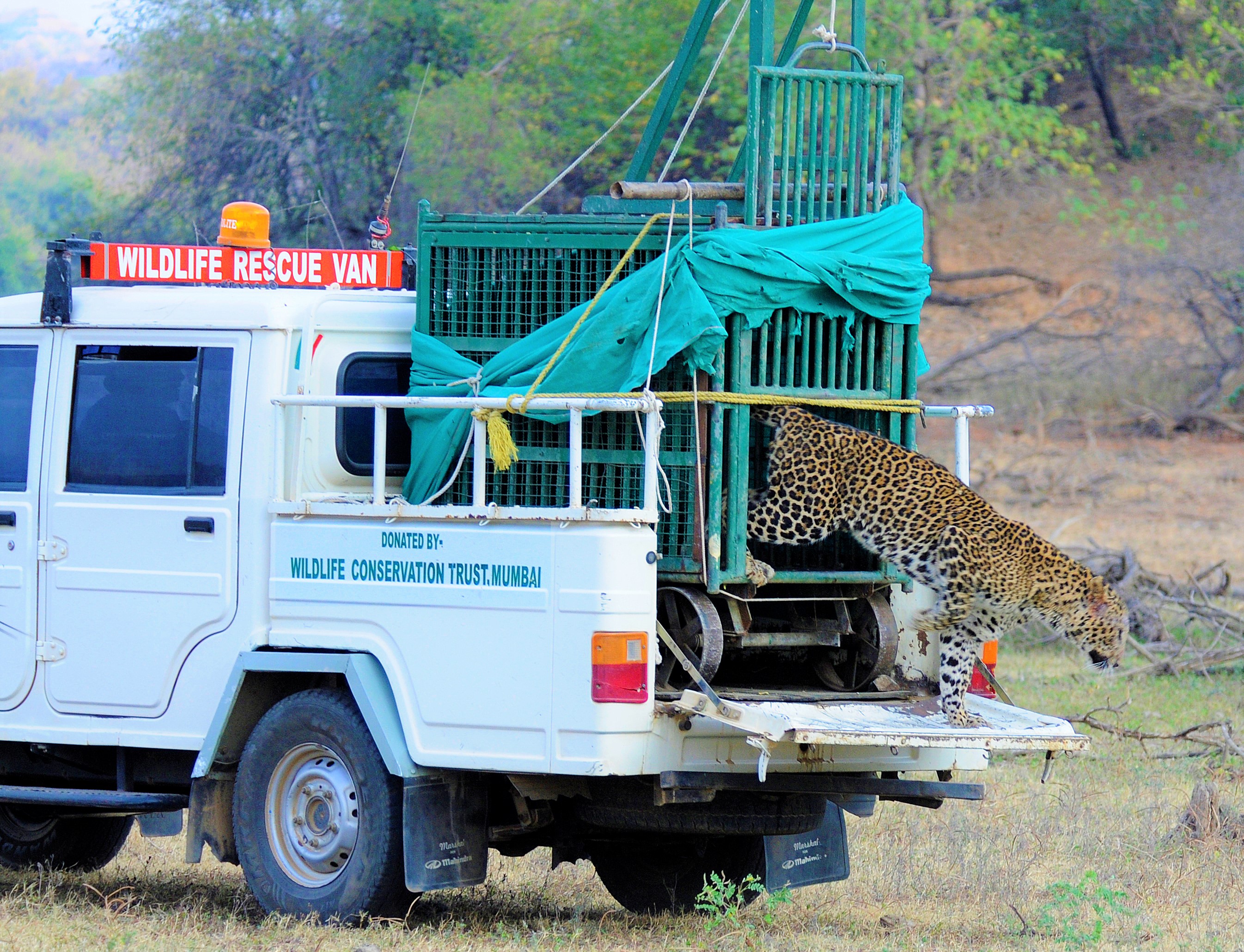 This Organisation Doesn’t Just Protect Wildlife, It Conserves Forests and Empowers Villagers Too!