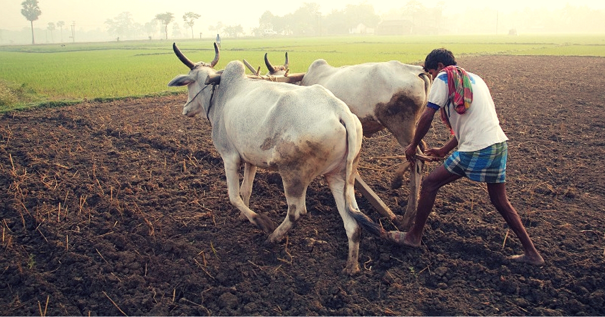 500 Techies in Chennai Are on a Mission to Help Families of Farmers Wrecked by Drought