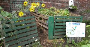 Learn the Art of Composting in Your Home & Watch Your Kitchen Waste Turn to Wealth