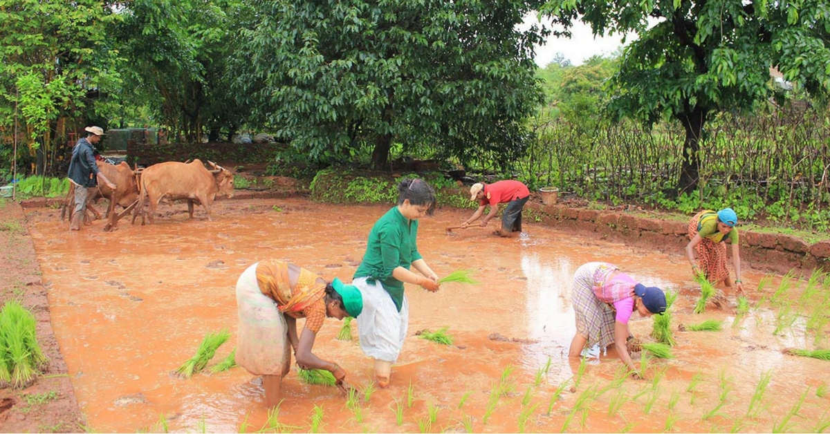 How This Mumbai Couple Juggles Careers With Running an Organic Farm in Rural Maharashtra