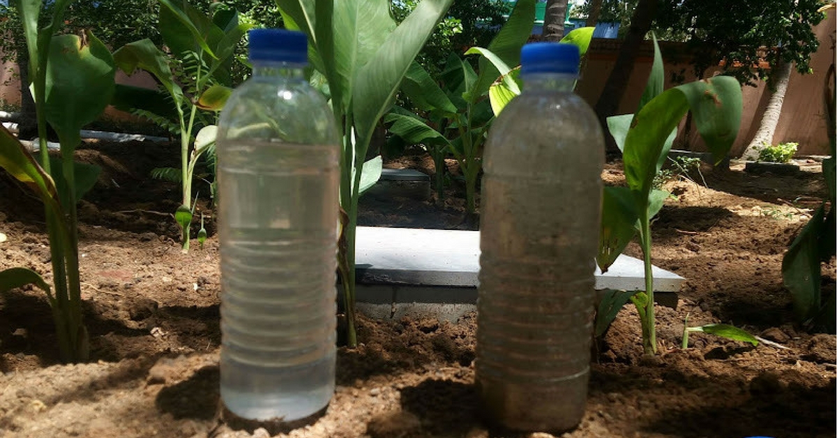 How to Purify & Recycle Wastewater From Your Home While Also Creating a Beautiful Garden!
