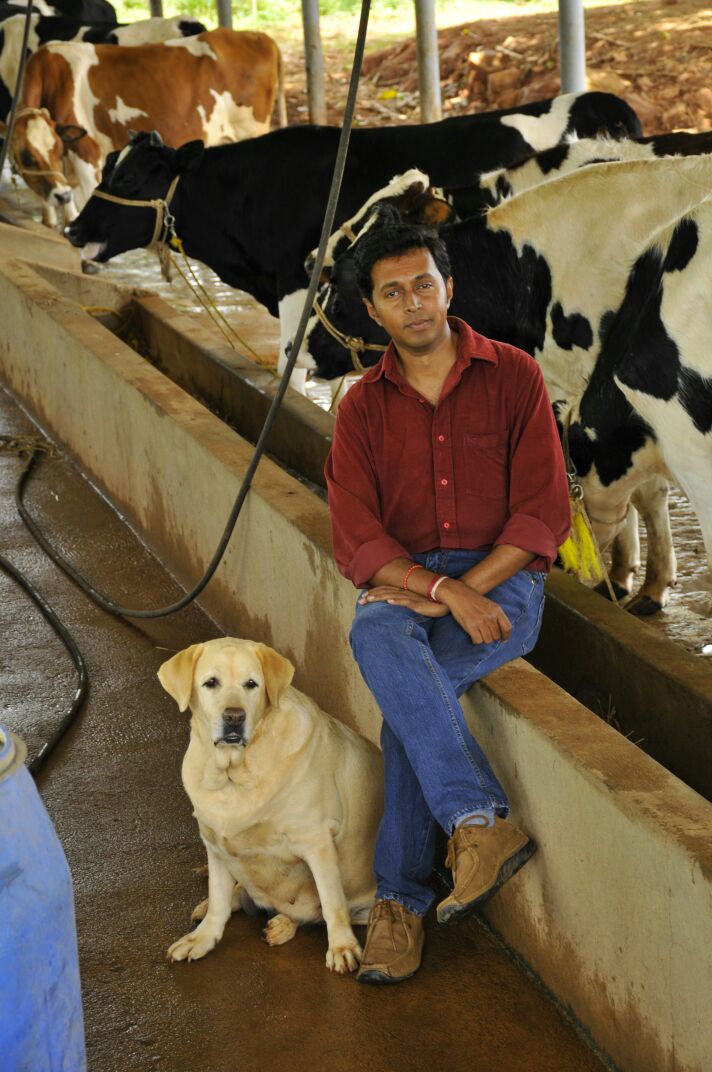 The Complete Guide To Becoming An Urban Dairy Farmer Without Quitting