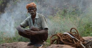 TBI Blogs: Meet the Honey Hunters of the Nilgiris – the Men Who Risk Their Lives for Your Sweet Jar of Honey