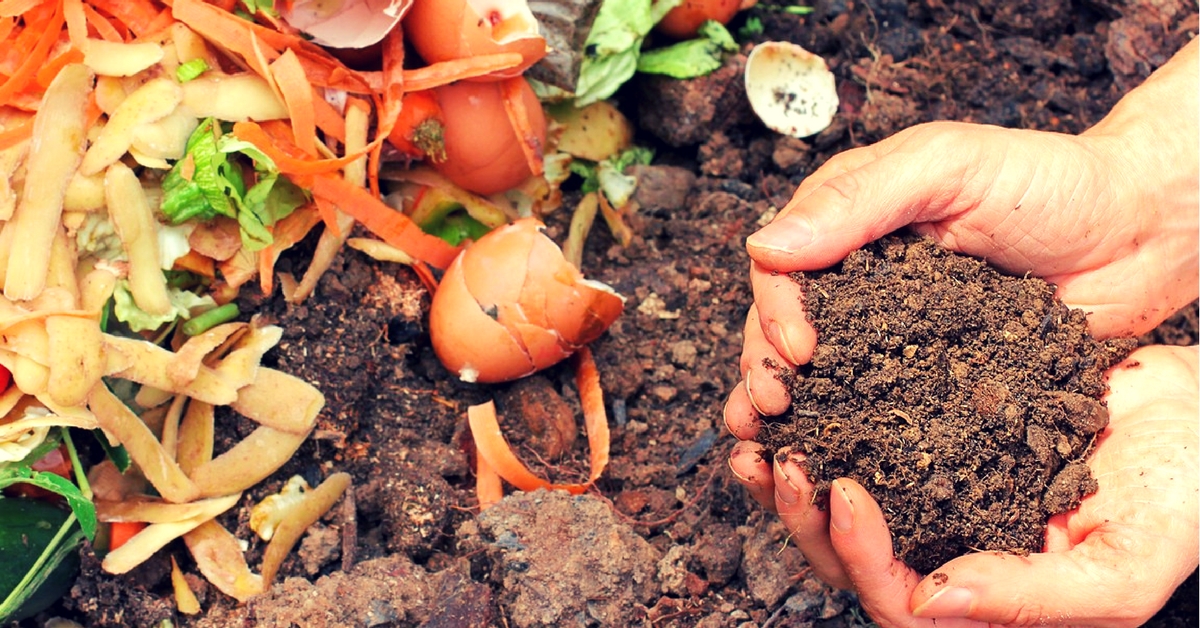 A Mumbai Constable Set up a Composting Unit at His Station After Overhearing a School Seminar!