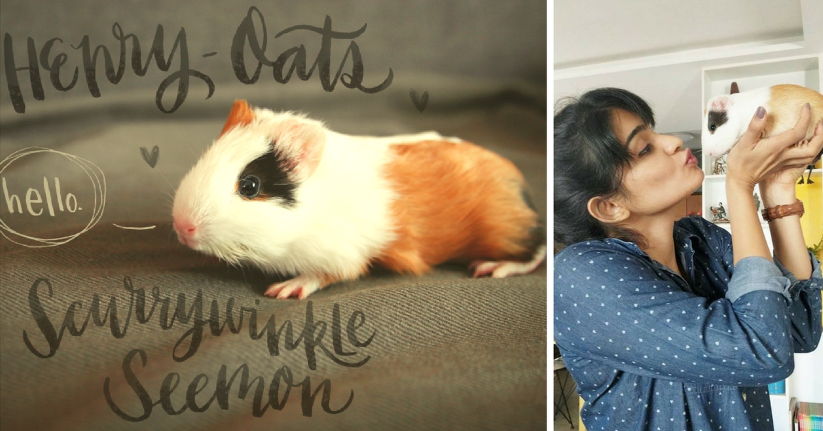 MY STORY: ‘Henry-Oats Is the Naughtiest Guinea Pig I’ve Ever Had the Pleasure of Being a Mummy To’